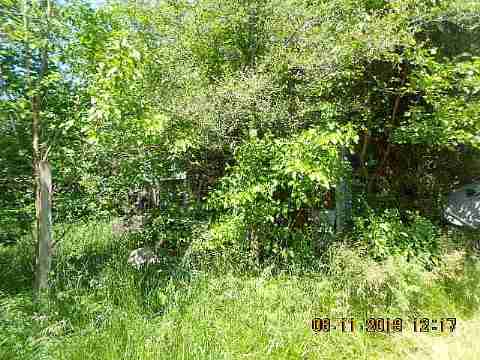 19333 Eureka (4)_m.jpg